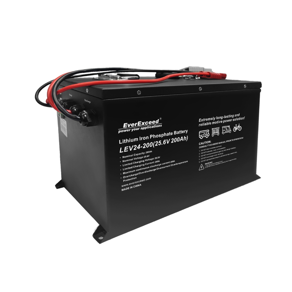 Pacco batterie LiFePO4 per veicoli
