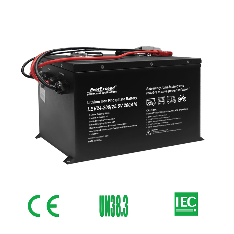 Pacco batterie LiFePO4 per veicoli
