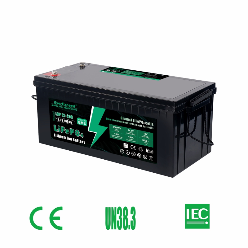 Batteria sostitutiva al piombo LiFePO4
    