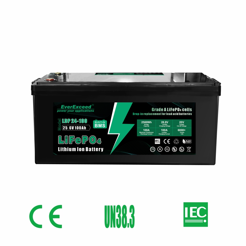 Batteria del sistema di accumulo solare da 24 V