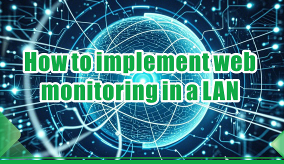 Come implementare il monitoraggio del web in una LAN