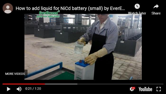 Come aggiungere liquido per batteria NiCd (piccola) di EverExceed
