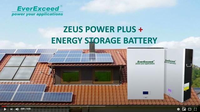 EverExceed Zeus Power Plus + Soluzione per batteria al litio montata a parete
